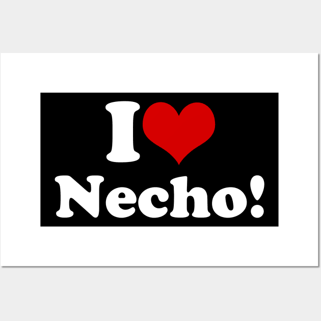 I Heart Necho Wall Art by hadij1264